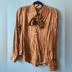 Express buttoned down blouse